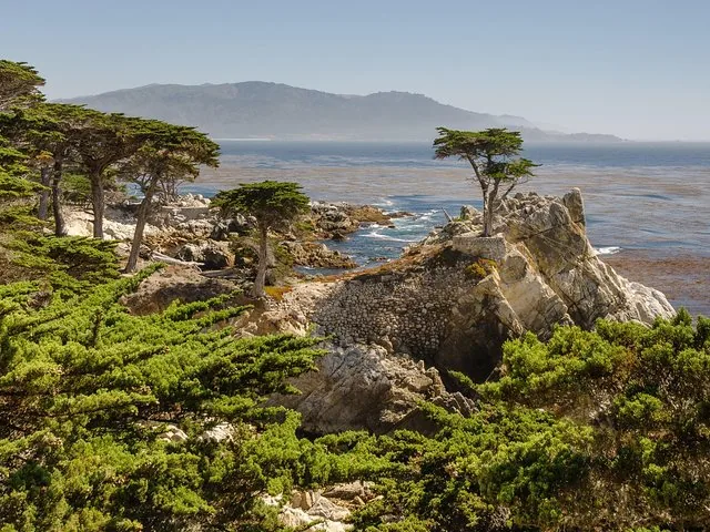 Vue panoramique du Lone Cypress sur le 17-Mile Drive