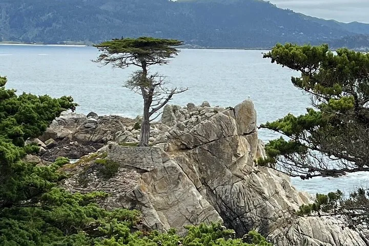 Photo de la visite